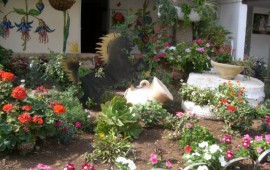 כרמיאל בחרה את "הבית הכי יפה בעיר" tamarzohee