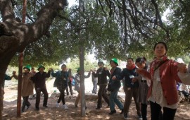 מיפן לגוש עציון: עשרות בני נוער יפנים הגיעו להתפלל לשלום ההתיישבות