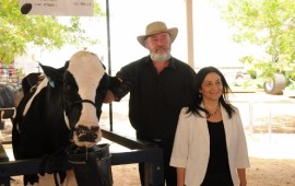 באר טוביה: הפרה פנינה נבחרה כמלכת היופי של הפרות