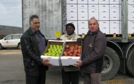 ישראל החלה לייצא תפוחים לסוריה