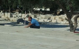 אנשי הווקף המוסלמי תקפו את משה פייגלין על הר הבית
