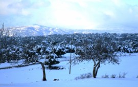 טיול לשבת: בג'יפים אל רמת הגולן המושלגת