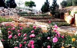 טיול לשבת: אל המחצבות המשוקמות ברחבי הארץ