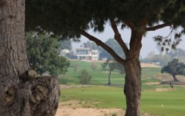 גולף לגוף ולנשמה – שיעור וארוחה Caesarea_through_the_trees