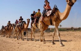 טיול לסוכות:לינה באוהלים, טיולי גמלים וספארי, חאפלות ליליות ועוד