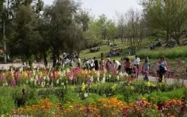 חנוכה בגן הבוטני בירושלים: משחק "חפש את השעון"