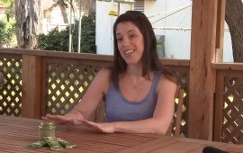 המורינגה מגבירה כמות חלב אם נטלי: