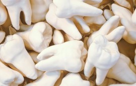 כמה שיני חלב נופלות לילדים?