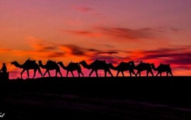 מרוקו, אח! מרוקו! למה כדאי לכם לטייל שם? קרדיט : יניב טל – מאסטר טריפ