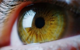 טיפול בקטרקט עם רופא עיניים פרטי קרדיט תמונה Shutterstock