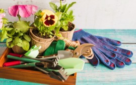 שדרוג הגינה והמרפסת – ציוד קטן שעושה שינוי גדול קרדיט תמונה FREEPIK