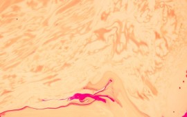 המדע שמאחורי שיקום הזקפה: יצירת כלי דם חדשים בטיפול לא פולשני קרדיט תמונה FREEPIK