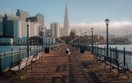 שחם אריכא - ריהוט רחוב אורגני מעוצב ומהפכני קרדיט תמונה PIXABAY