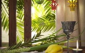 פעילויות לילדים בחג סוכות פעילויות לילדים בחג סוכות