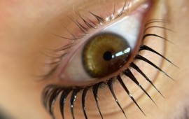 הרמת ריסים וגבות - המדריך המלא למתחילות: מה זה, כמה זה עולה, וממי ללמוד הרמת גבות